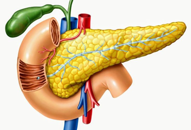 TIỂU ĐƯỜNG – “KẺ GIẾT NGƯỜI THẦM LẶNG” ĐANG ÂM THẦM HỦY HOẠI  SỨC KHỎE HÀNG TRIỆU NGƯỜI VIỆT